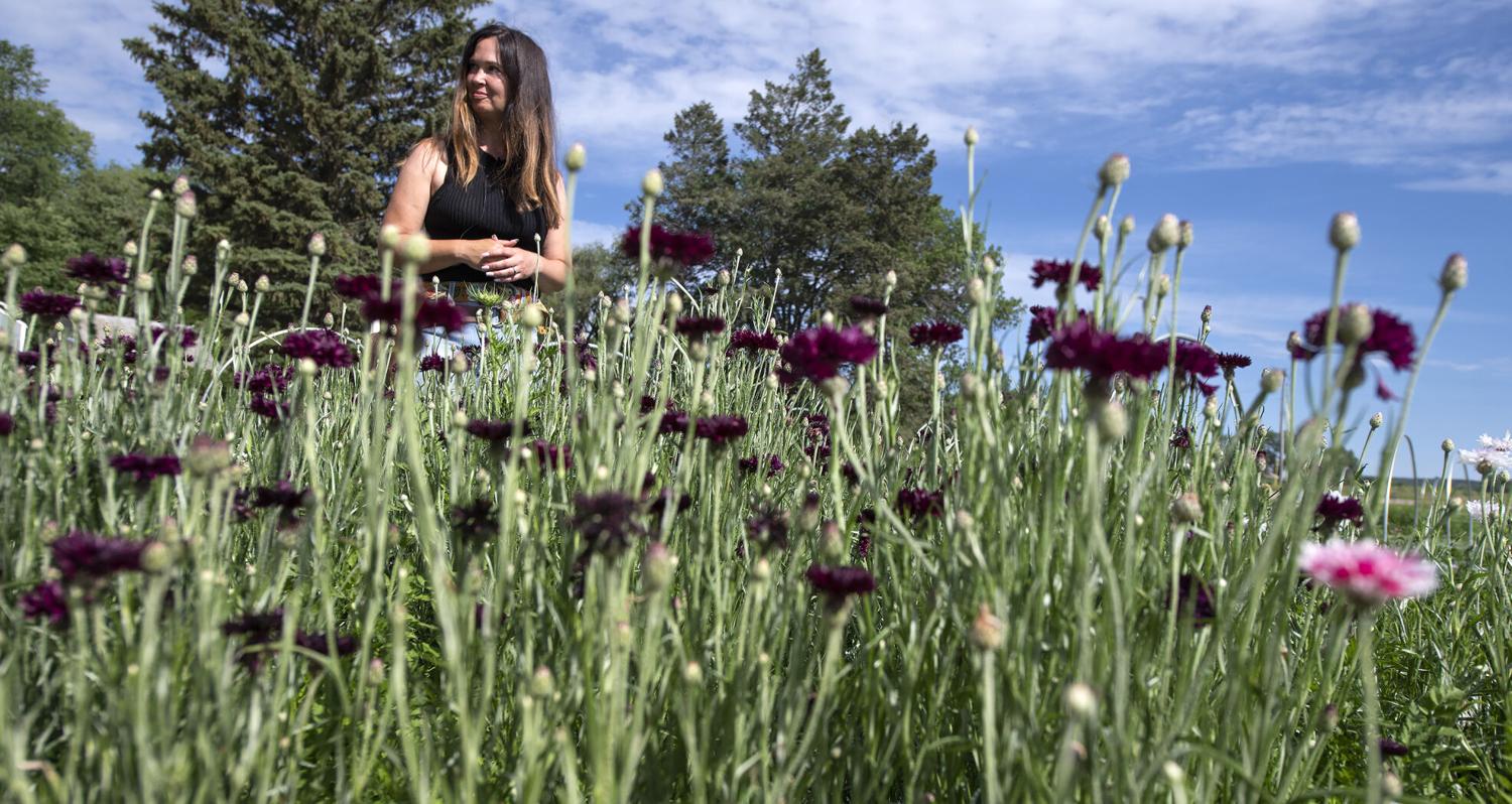 Elk Point flower farm holding festival later this month
