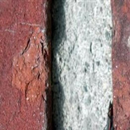 It S Fall And Boxelder Bugs Want In Home And Garden Siouxcityjournal Com