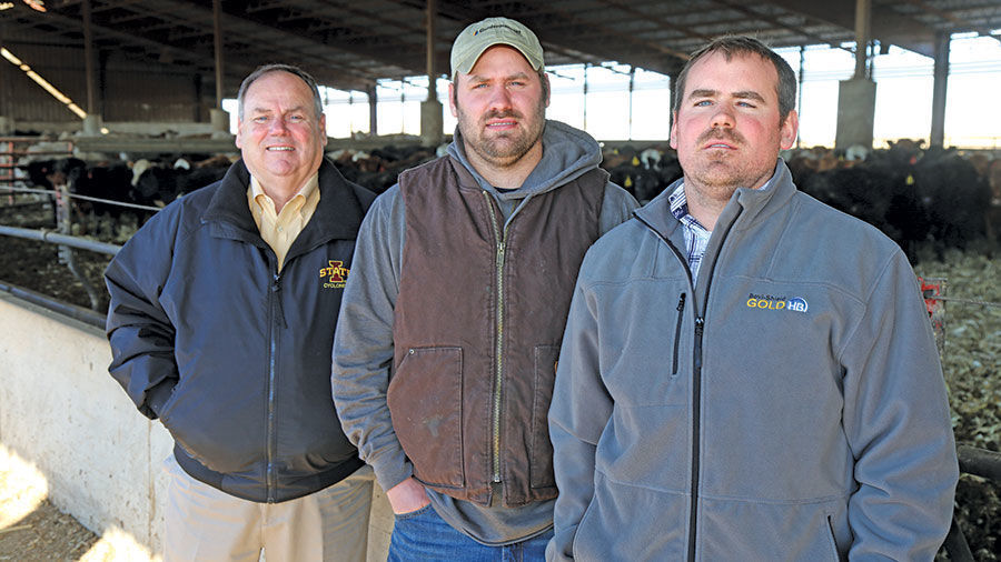 Holstein Farmer Feeders Continue To Build Operation Local