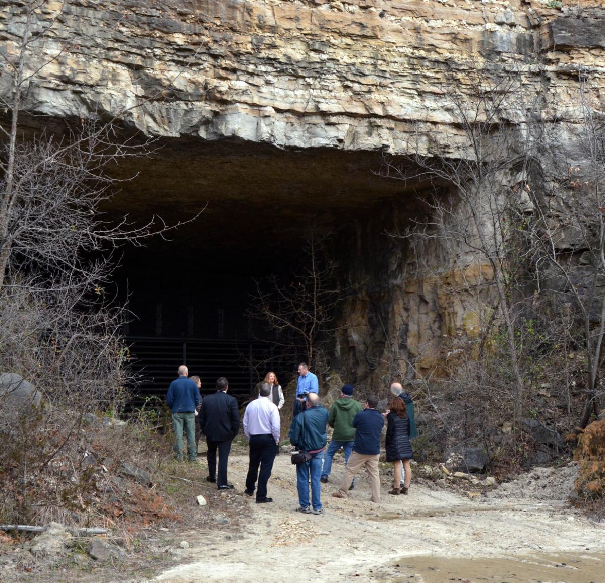New preserve in Missouri aims to protect endangered bats