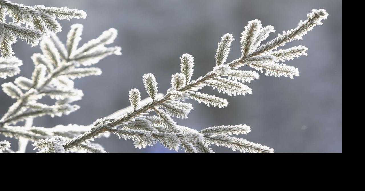 South Sioux City Schools cancel Thursday classes because of poor