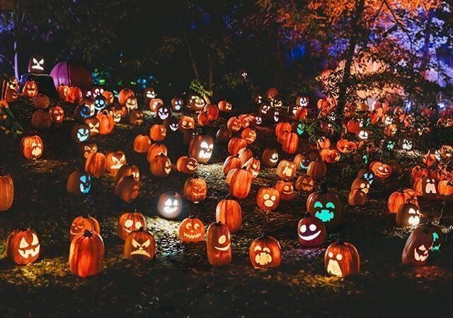 Cool Things You Didn’t Know About Halloween
