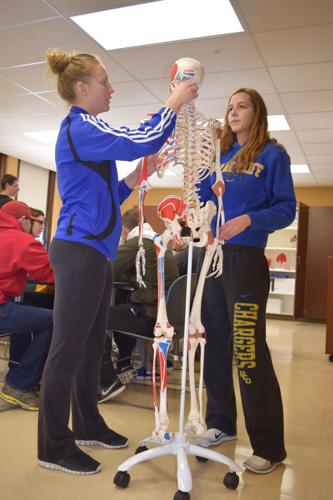 BCU Kinesiology