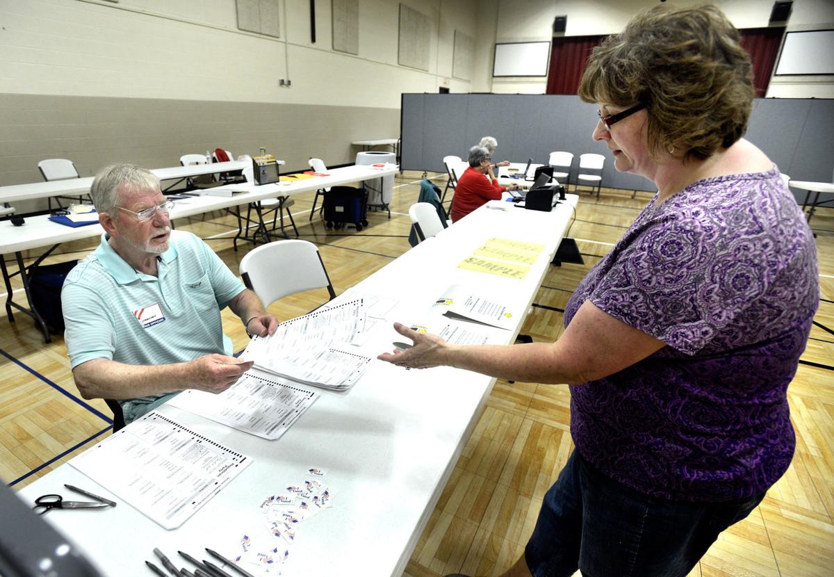 Primary Election