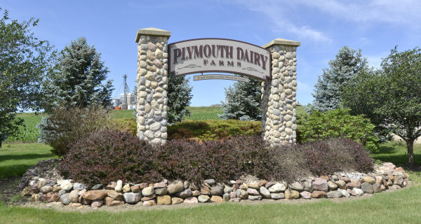 Plymouth Dairy