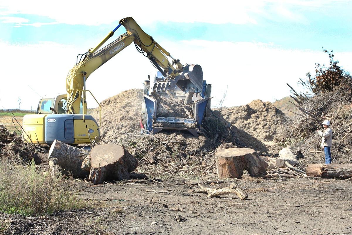 Spencer tree waste fuels ethanol plant | Local Business