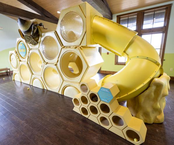 Dickinson County Nature Center bee exhibit