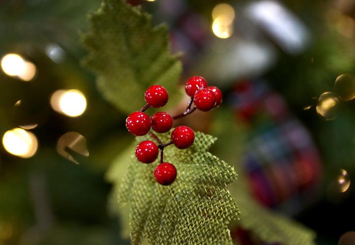Earl May Christmas Trees
