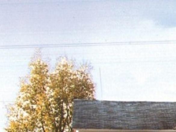 Wall Lake Remembers Its Native Star Andy Williams Latest News Siouxcityjournal Com