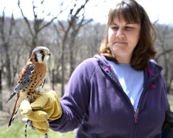Dorothy Pecaut Nature Center raptor enclosure