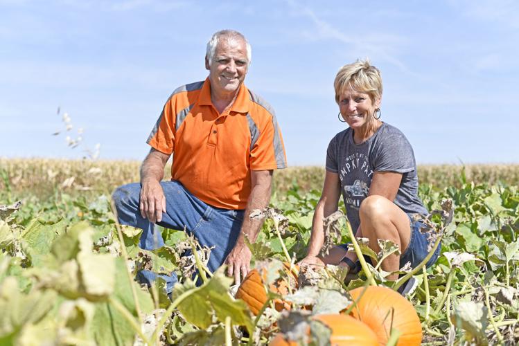 Pumpkins_1.jpg