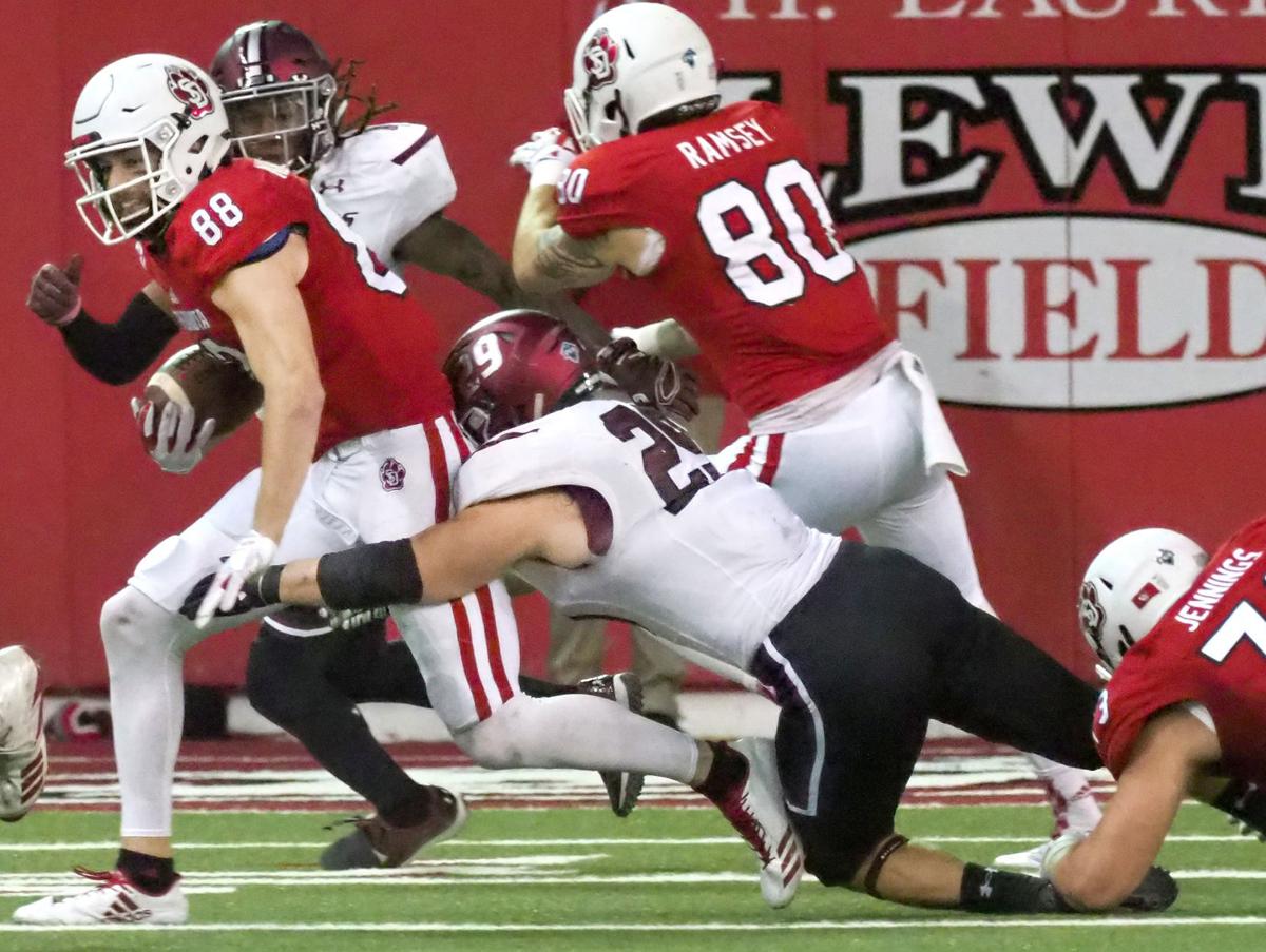 Coyotes Reach Seven Wins But Eight Would Be Great Usd