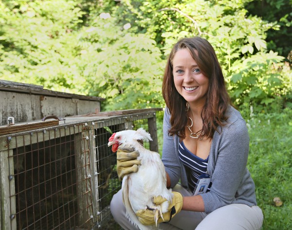 Wet spring may spur insect-borne disease | Health, Medicine and Fitness