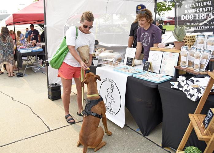 SitPrettyBarkery_5.jpg