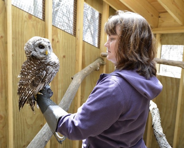 Raptor house takes flight, lands at nature center