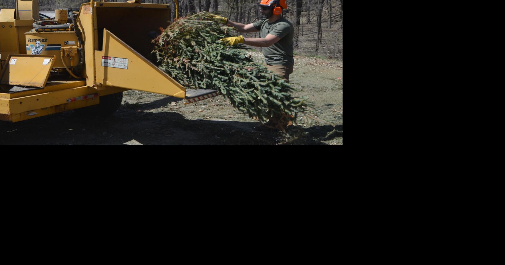 Christmas trees disposal times set in Sioux City