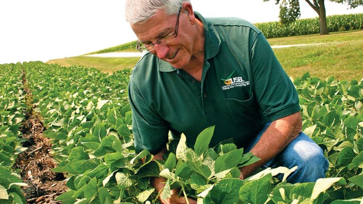 Record Ag Prosperity At An End Tough 2 Years Ahead State And Regional Siouxcityjournal Com