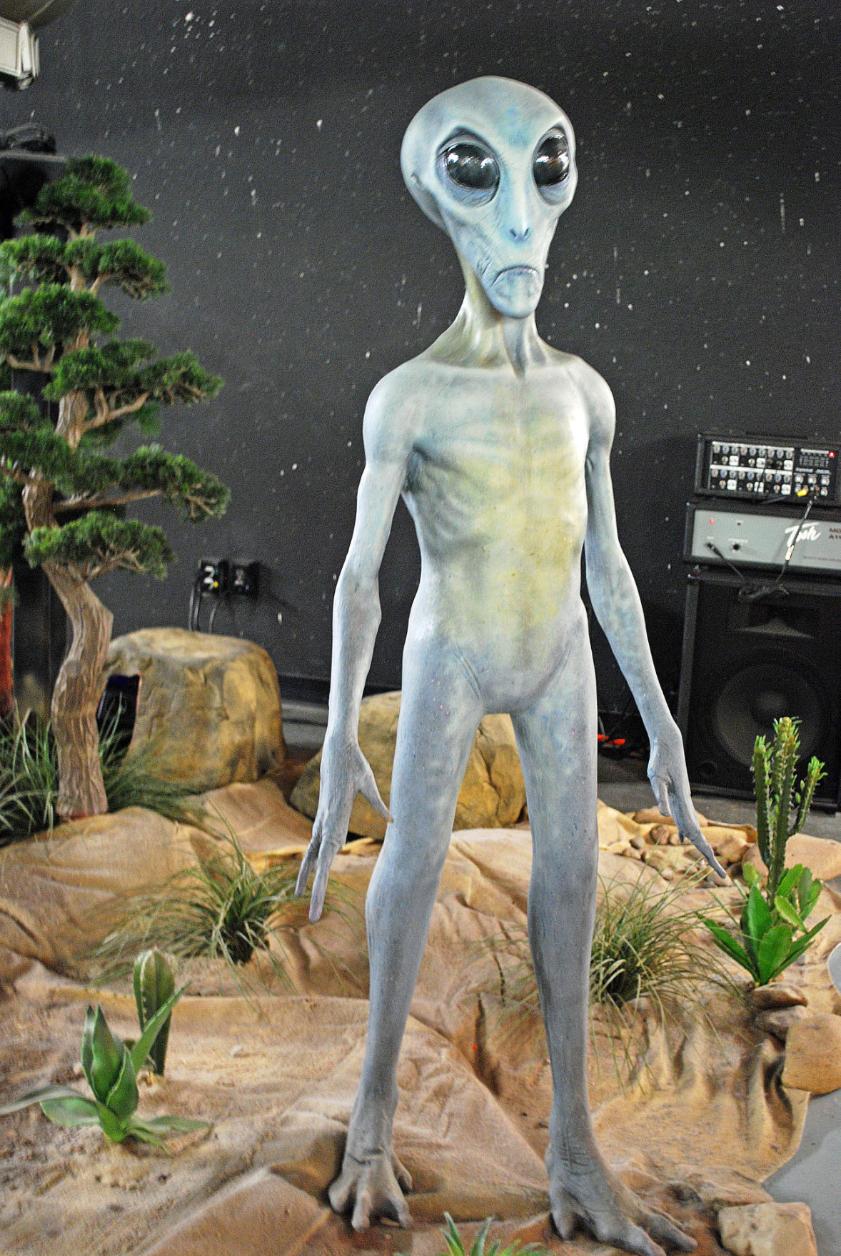 UFO Museum Special Sections