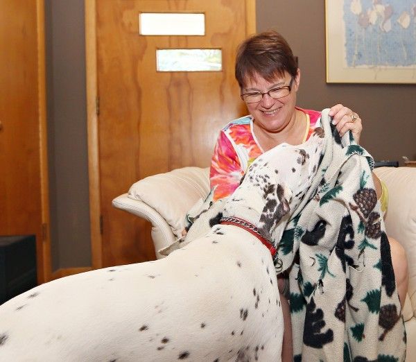 SERVICE DOG IN TRAINING Ruby's lifesaving diabetic alert dog on a 24/7