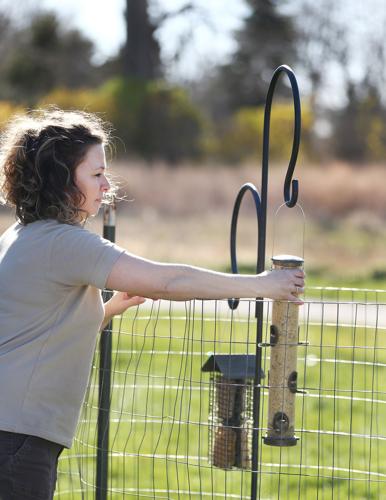 Bird feeders at Adams Homestead and Nature Preserve