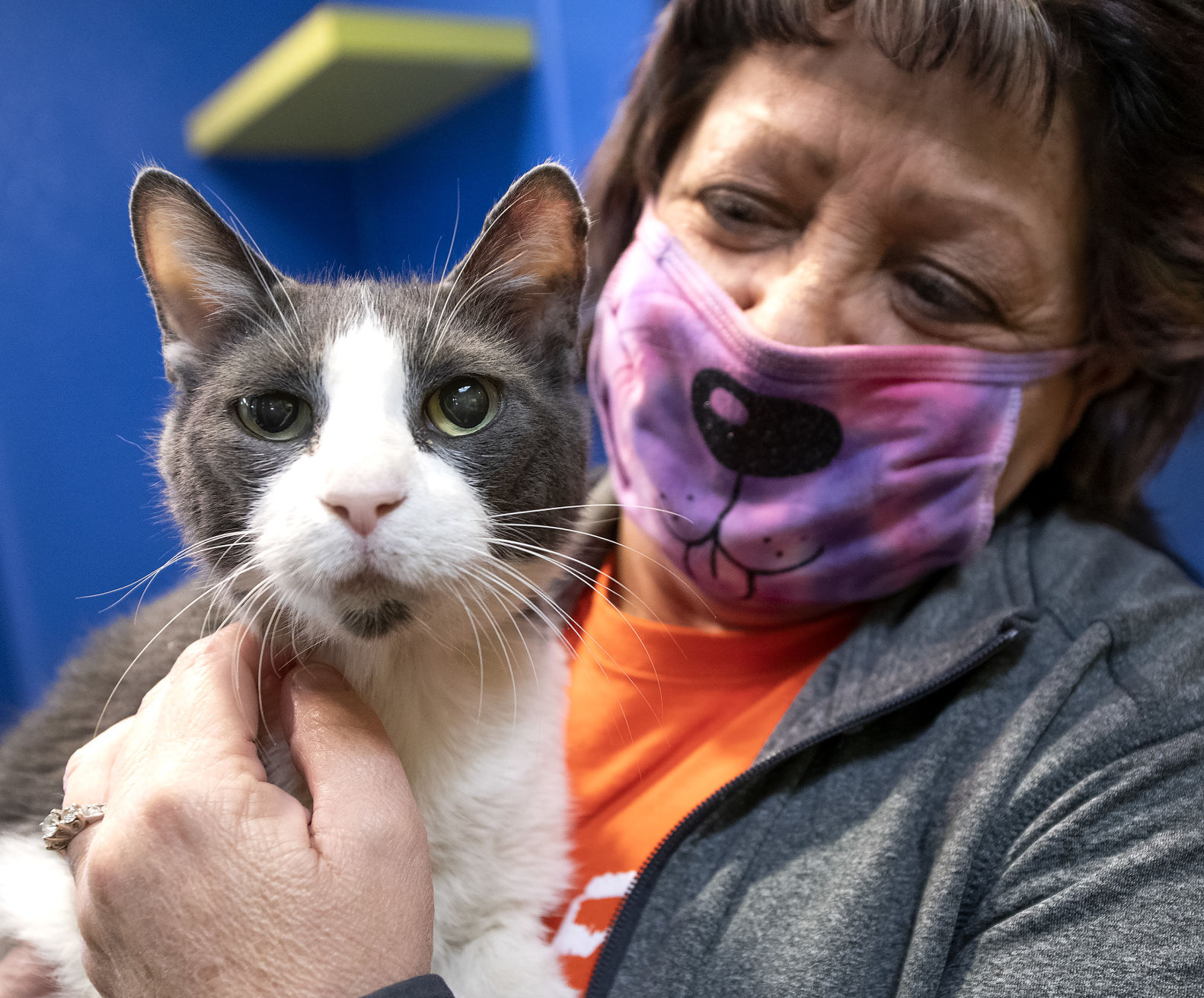 paws and claws humane society