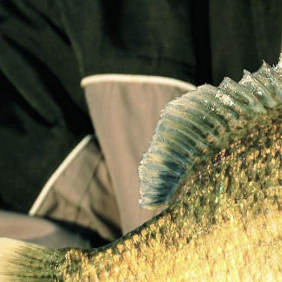 Myhre Game Plan For Late Winter Ice Fishing Outdoors