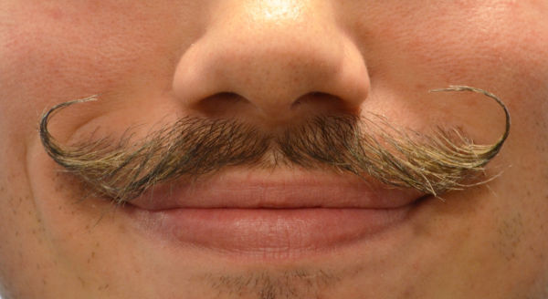 Stylin' a 'stache