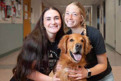 In the UNO Animal Behavior Research Lab, Students Study Dog Cortisol Connections While Unlocking Critical Skills