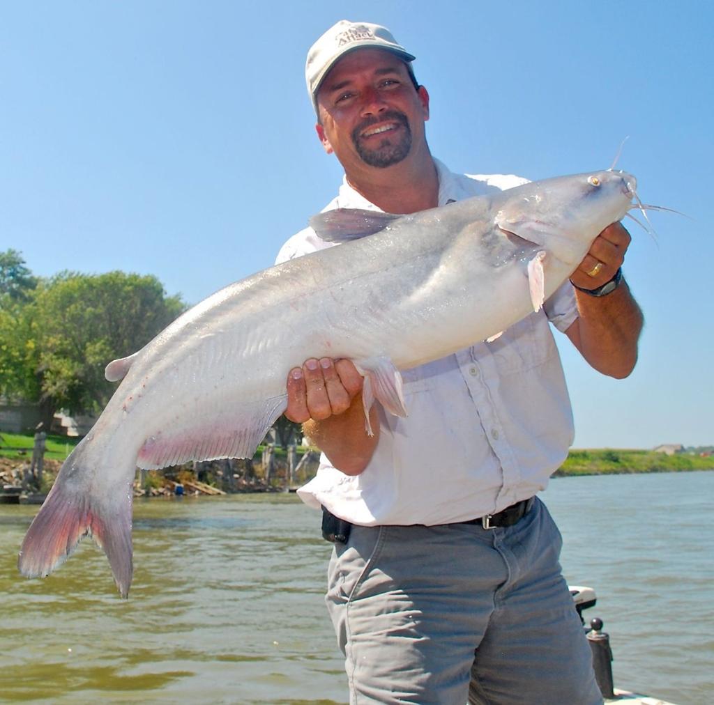 Myhre Keeping Minnows Alive Worth Extra Steps Outdoors