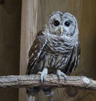 Nature Calls brings the beers to the Sioux City Convention Center