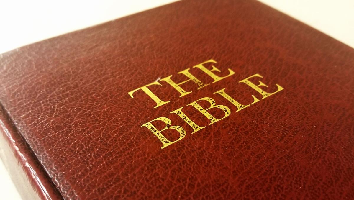 That Bibble Daily Bible verse