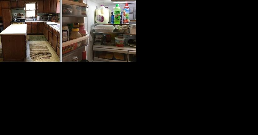 Vet who helped route dogs to Iowa did surgeries on her kitchen island, board says - Vimarsana News