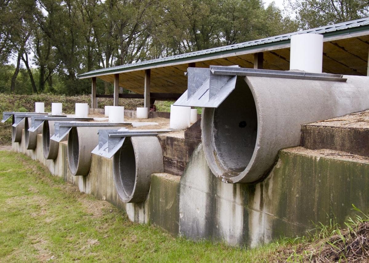 Gun range 2