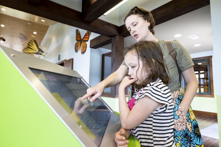 Dickinson County Nature Center bee exhibit
