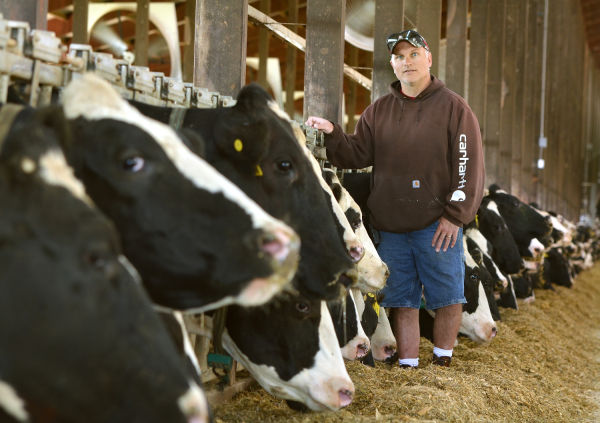 Plymouth Dairy