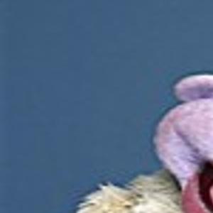 Four Questions With Jeff Dunham Comics Siouxcityjournal Com