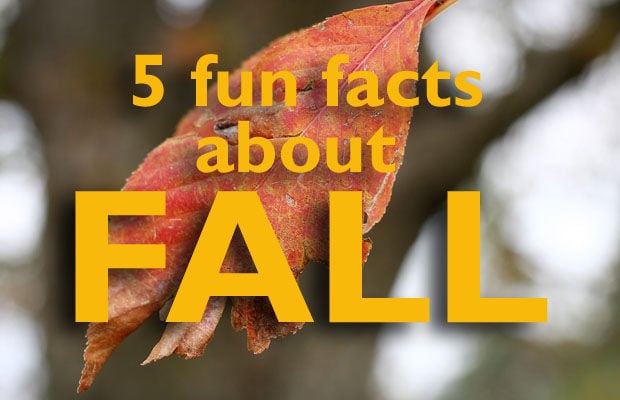 5-fun-facts-about-fall-coffee-break-siouxcityjournal