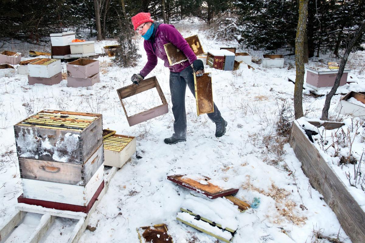 Wild Hill Honey Vandalism