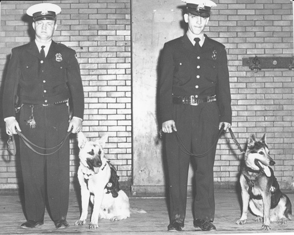 Sioux City police dogs