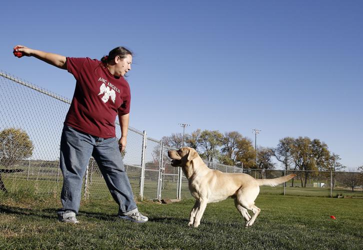 Hunting dog Sioux City Animal Adoption and Rescue Center