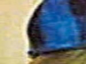 Randi S Nelson Obituaries Siouxcityjournal Com