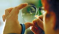 Pech Optical eyes future growth 