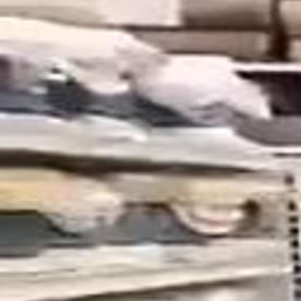 Oh Deer Doe Spotted Inside Bed Bath Beyond Store Local News Siouxcityjournal Com Welcome to our page where you'll find tips & solutions for your home and beyond.
