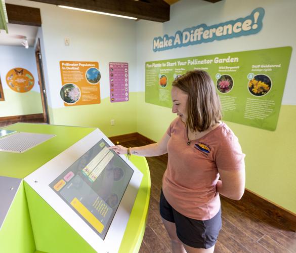 Dickinson County Nature Center bee exhibit