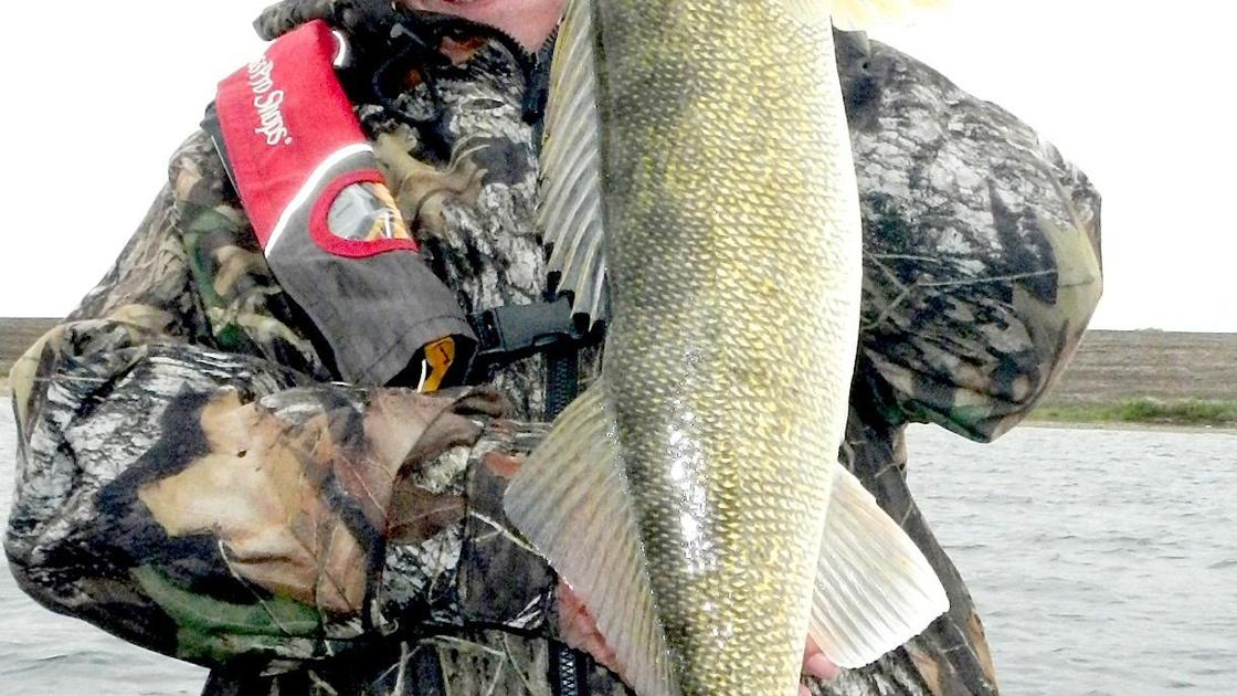 How to keep minnows alive