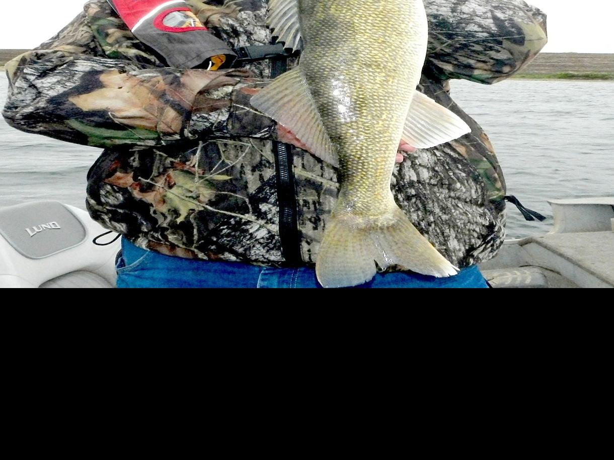 Myhre Keeping Minnows Alive Worth Extra Steps Outdoors