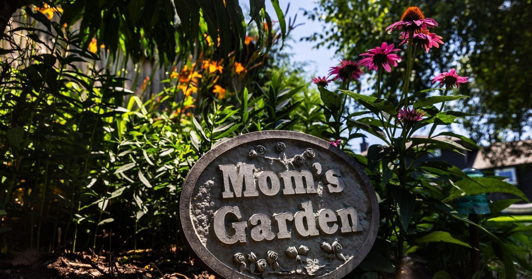 Papio pianist has keyboard walkway in one of her many garden beds - Vimarsana News