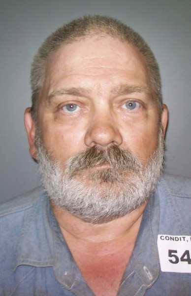 Man arrested in horse-hair thefts