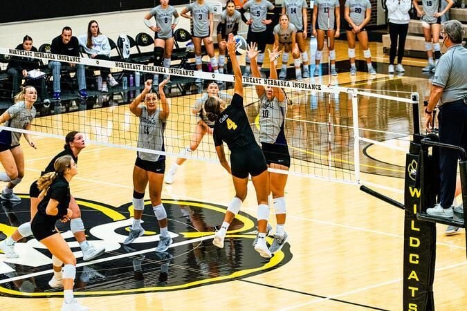 Big day from Hanel powers #2 Wayne State in sweep over Sioux Falls