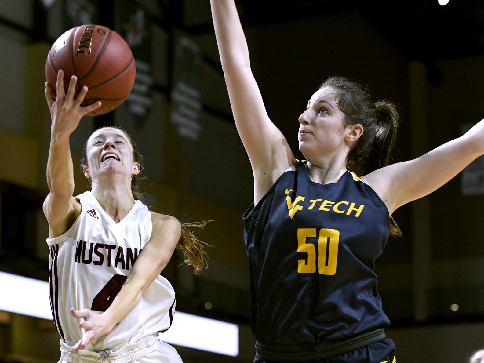 Naia National Women S Hoops Tourney In Sioux City Canceled Due To Coronavirus Worries State And Regional Siouxcityjournal Com